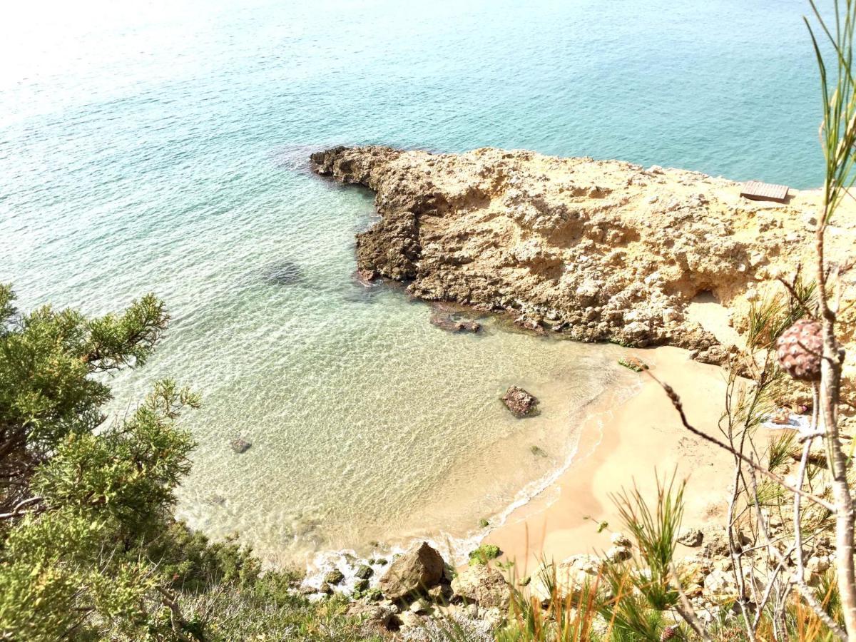 Synergie SI01 - Ideal para descansar Salou Exterior foto